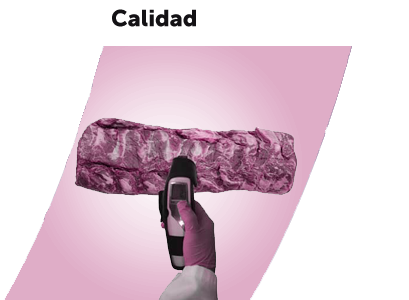Calidad