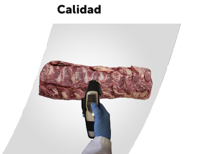 Calidad